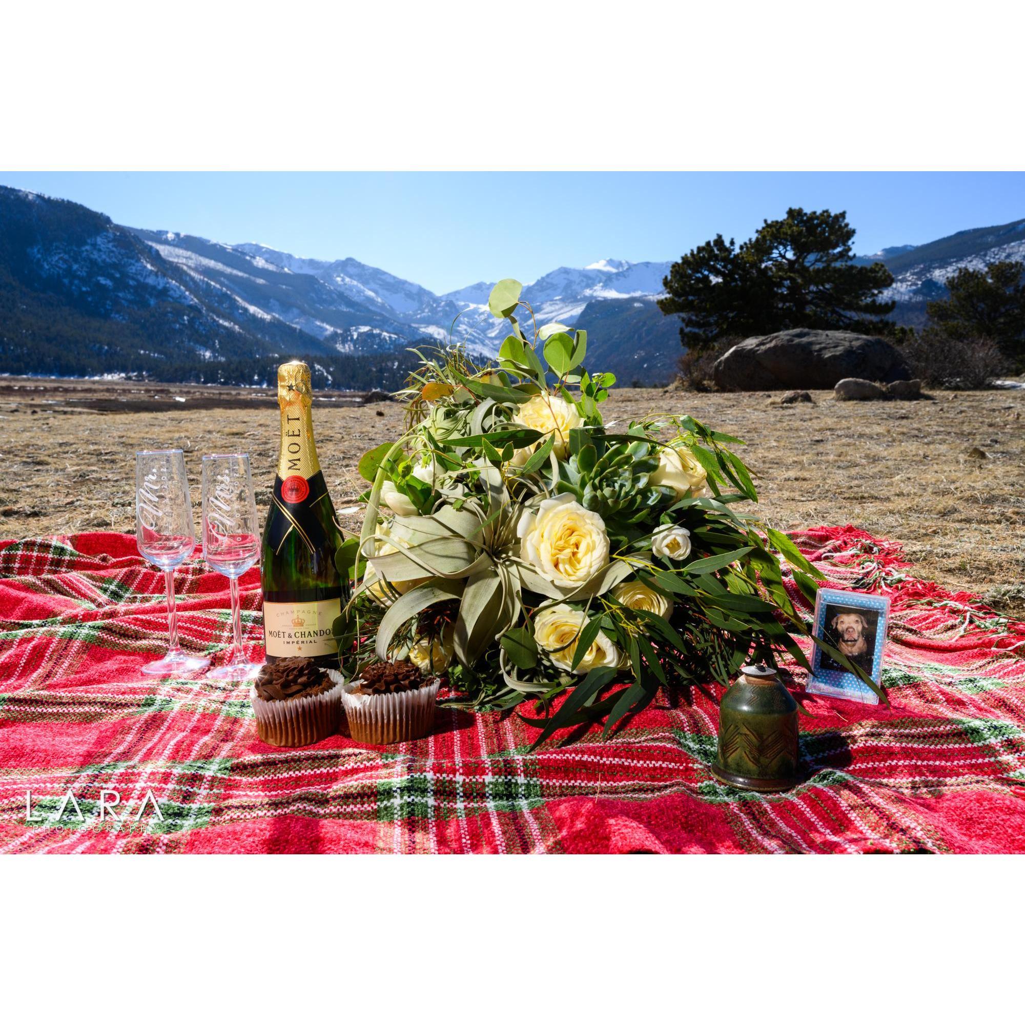 Picnic