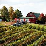 Carter Mountain Orchard