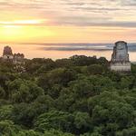 Tikal Mayan Ruins