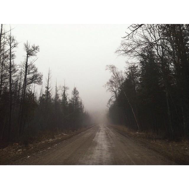 November, 22, 2015:
Exploring the foggy wilderness of Northern Michigan. 🌲