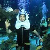 Interactive Aquarium Cancún