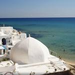 Hammamet