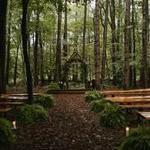 Woodlands