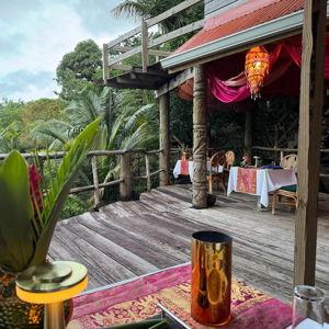 Treetop Dinner in Soufrière