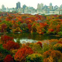 Donation to Central Park