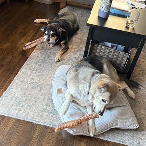 Year's Supply Of Pet Treats