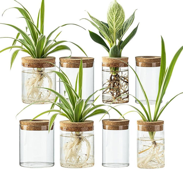 CHPINDAM Glass Propagation Stations for Plants -Desktop Flower Vases,Propagation Flower Vases Set – 2 Large & 2 Small for Plant Cuttings，for Living Room, Bedroom Decoration,Home,Office Decor (8)