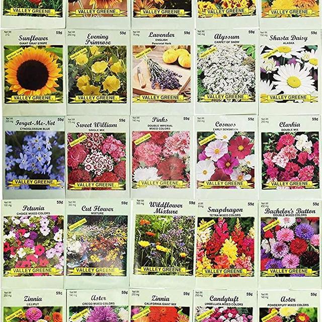 25 Flower Seed Packets Including 10+ Varieties - May Include: Forget Me Nots, Pinks, Marigolds, Zinnia, Wildflower, Poppy, Snapdragon and More - Made in the USA