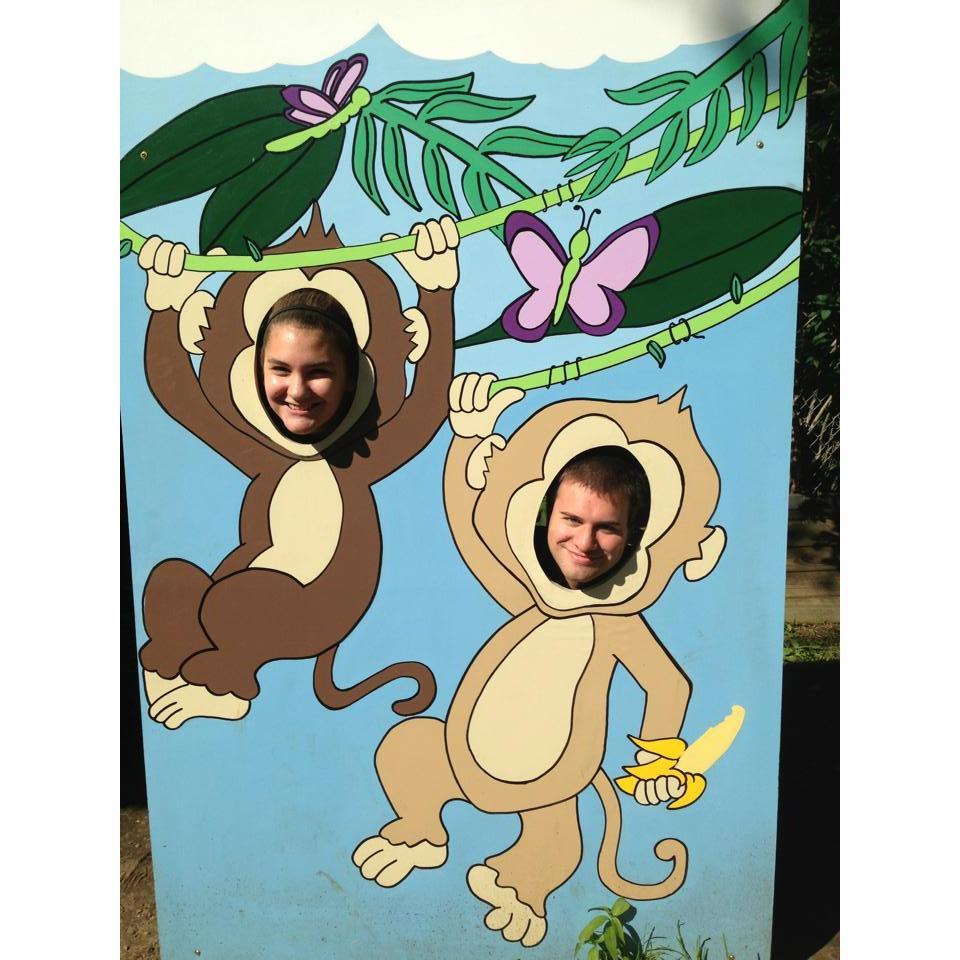 Monkeying around, York's Wild Kingdom 2013