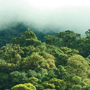 Chelemha Natural Reserve
