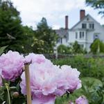 Bellamy-Ferriday House & Garden