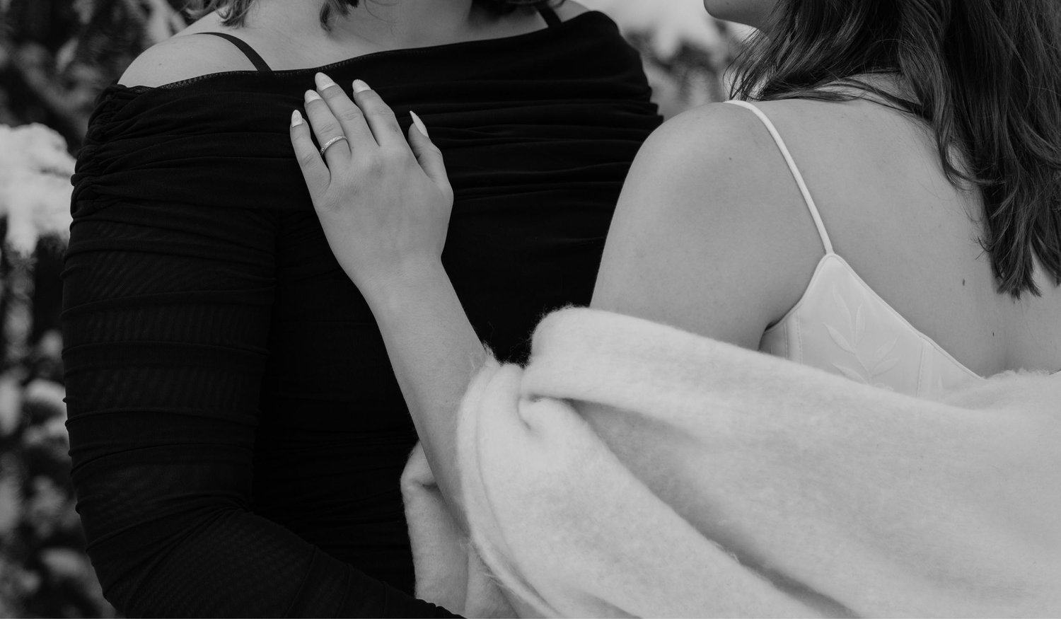 The Wedding Website of Megan Van Laar and Lydia Lukashev