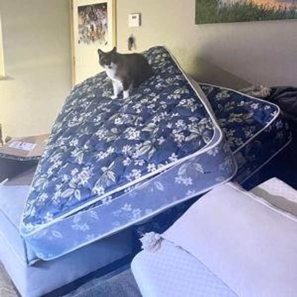 Mattress & Bed Frame