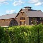 Shelburne Vineyard