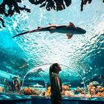 Ripley's Aquarium of Canada