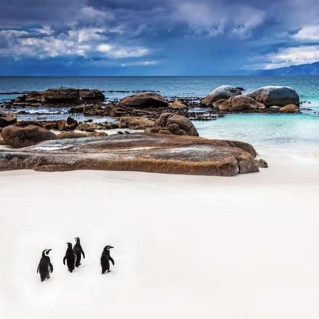 Cape Town Cape Point & Penninsula Tour