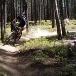 Bike - Mountain and Road