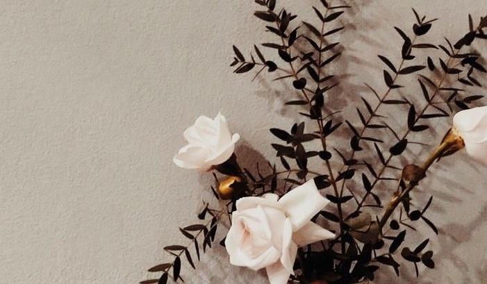 The Wedding Website of Sevanna Dunbar and Aidan Anderson