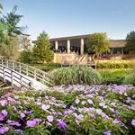 Creation Museum