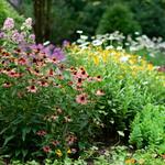 Birmingham Botanical Gardens