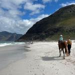 Horse-back Riding on the Beach