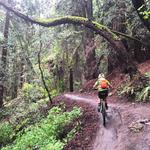 Biking
