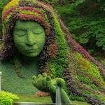 Atlanta Botanical Garden, GAINESVILLE