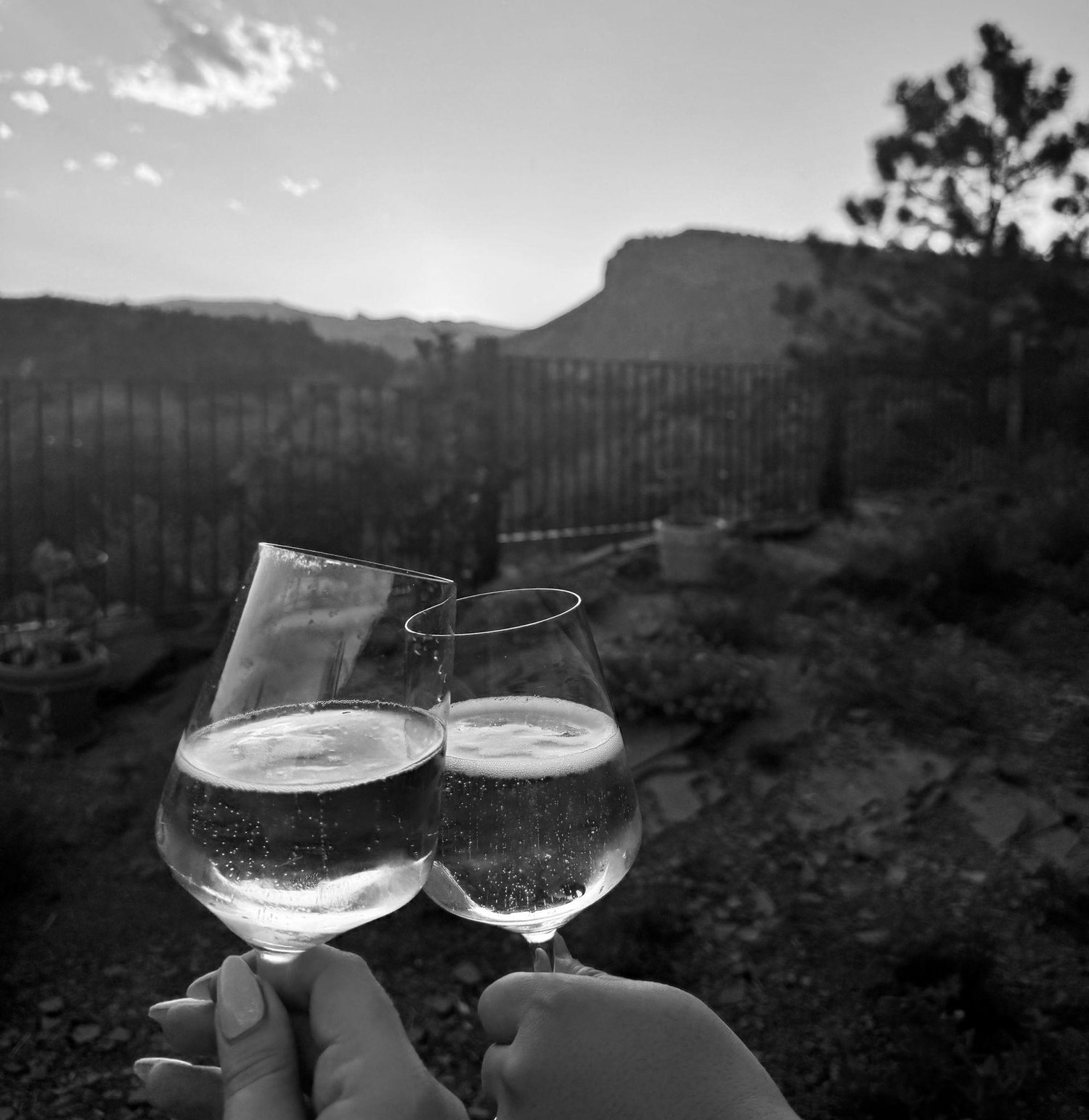The Wedding Website of Megan Carlson and Marcus Berlin