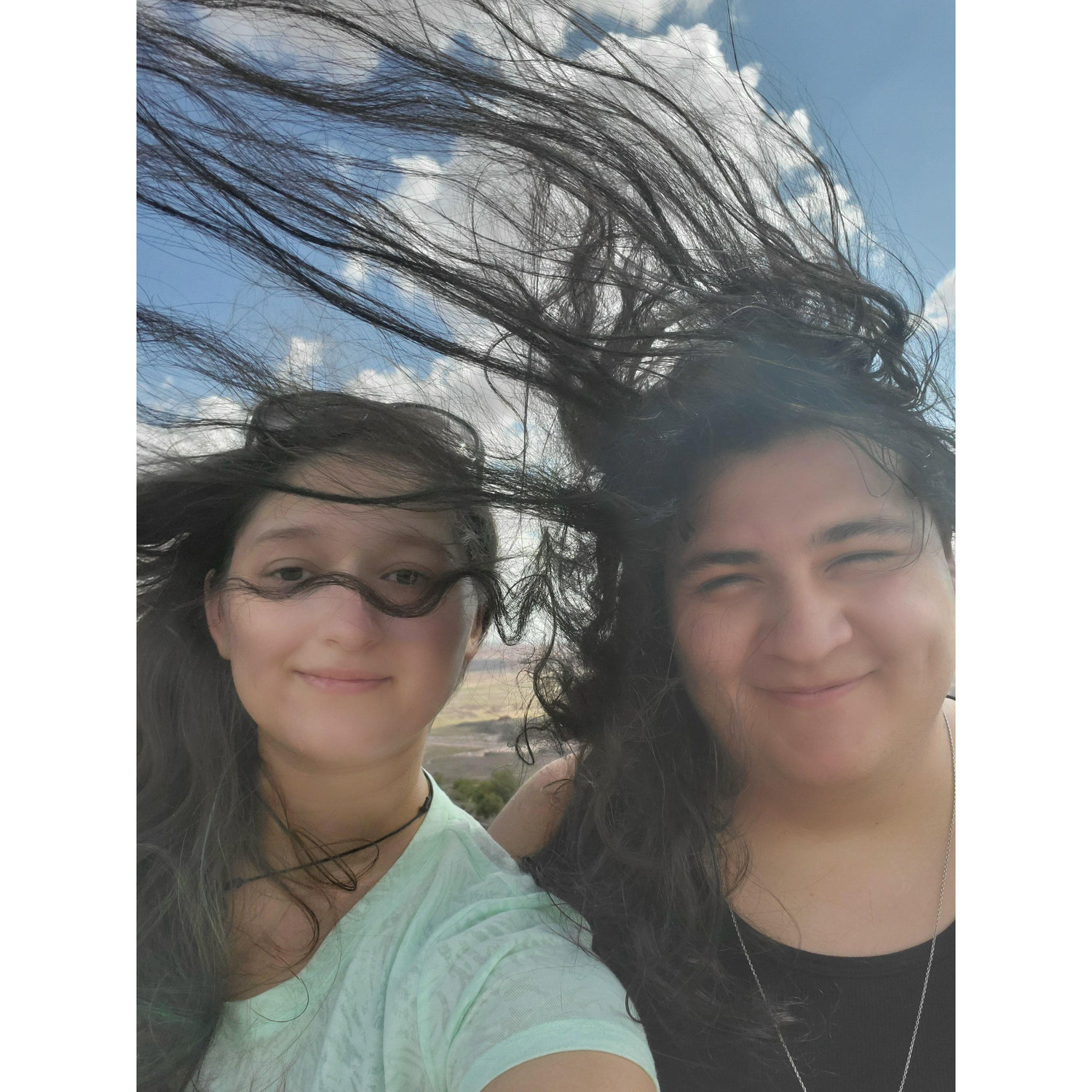 Windy day at the Petrified Forest, Summer 2021