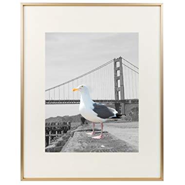 Frametory, 16x20 Metal Picture Frame Collection, Aluminum Photo Frame with Ivory Color Mat for 11x14 Picture & Real Glass (Gold)