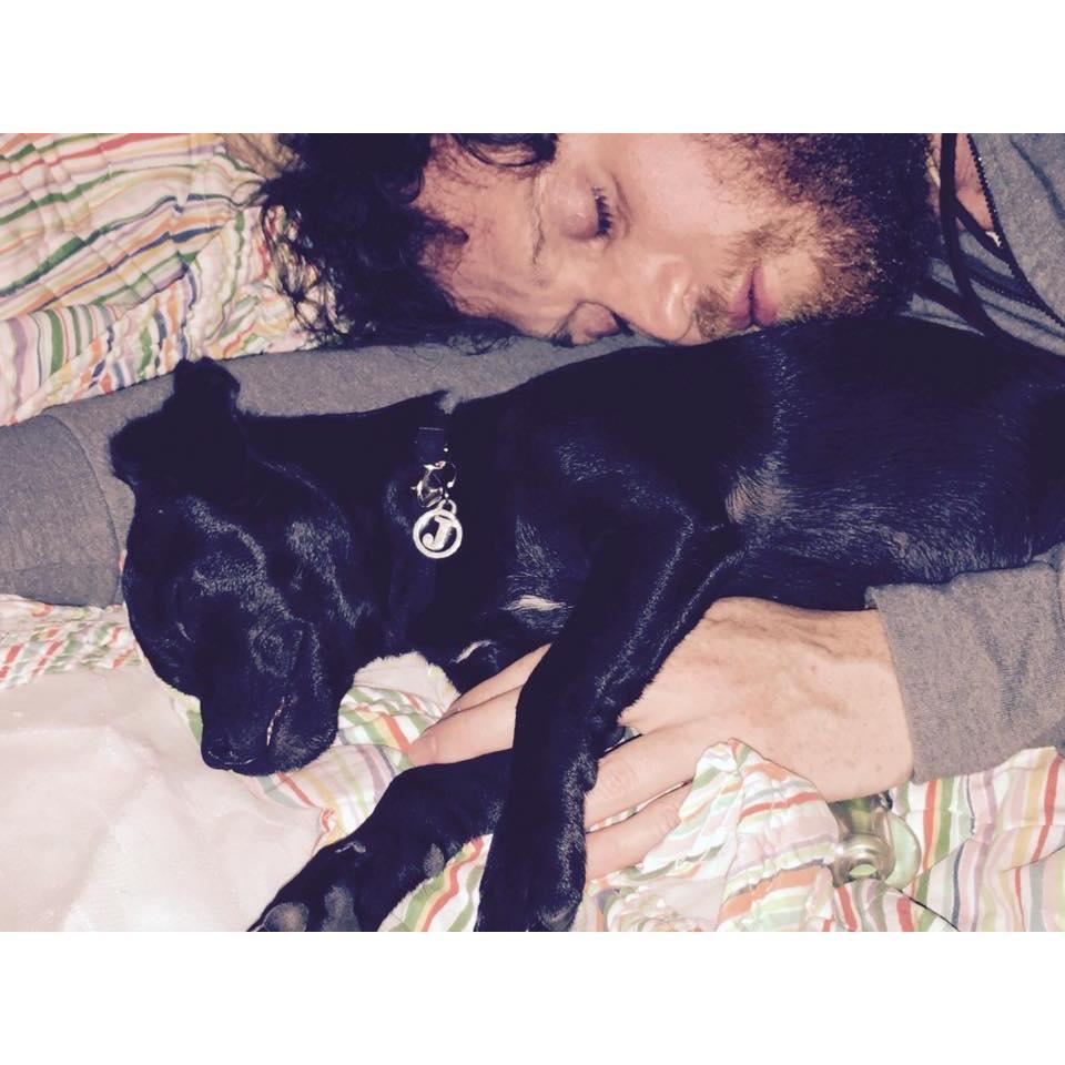 My two favorite guys napping