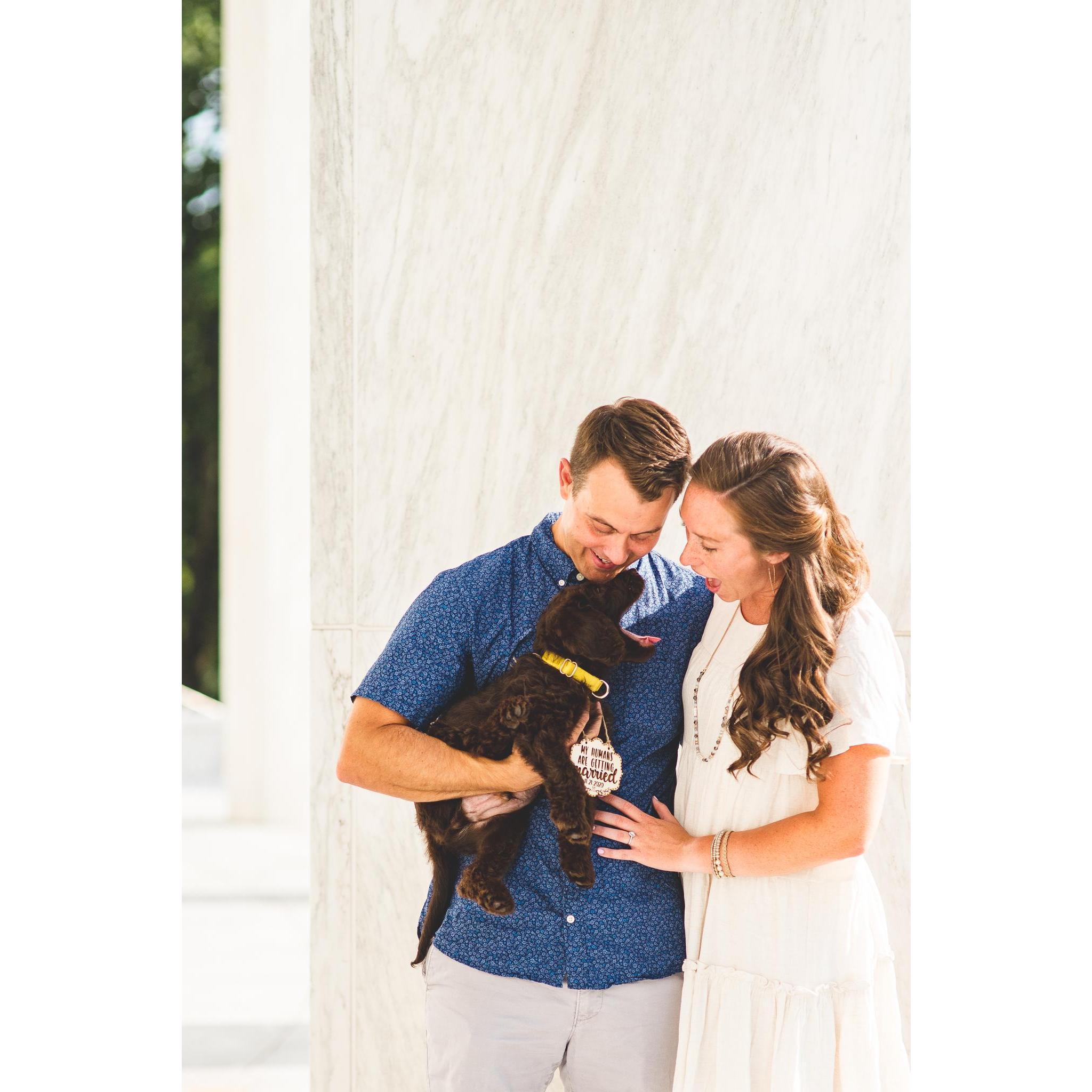Engagement photos by the incredible Kealy Creative!