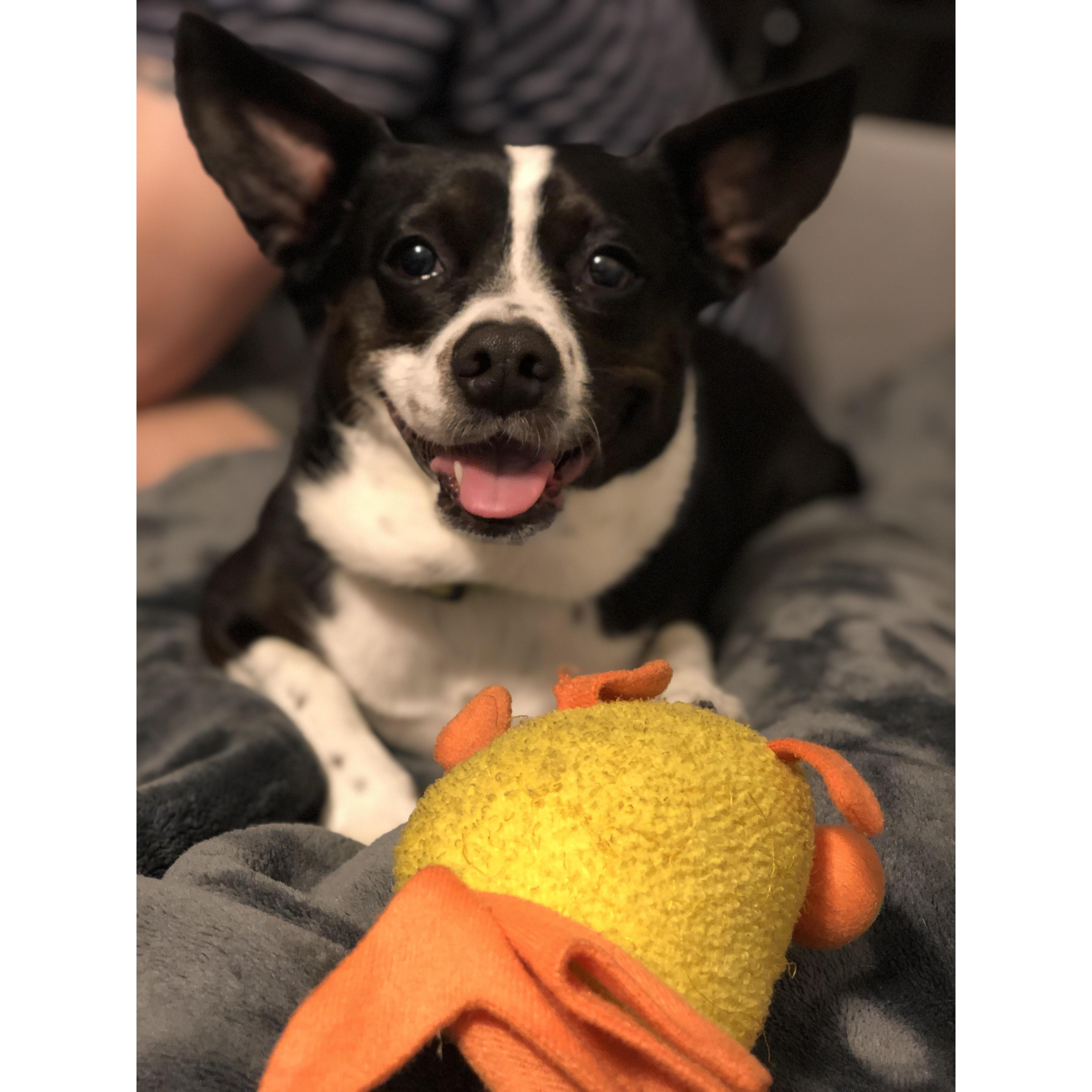 Milly, dogter number one, and her best friend Gilly (RIP)