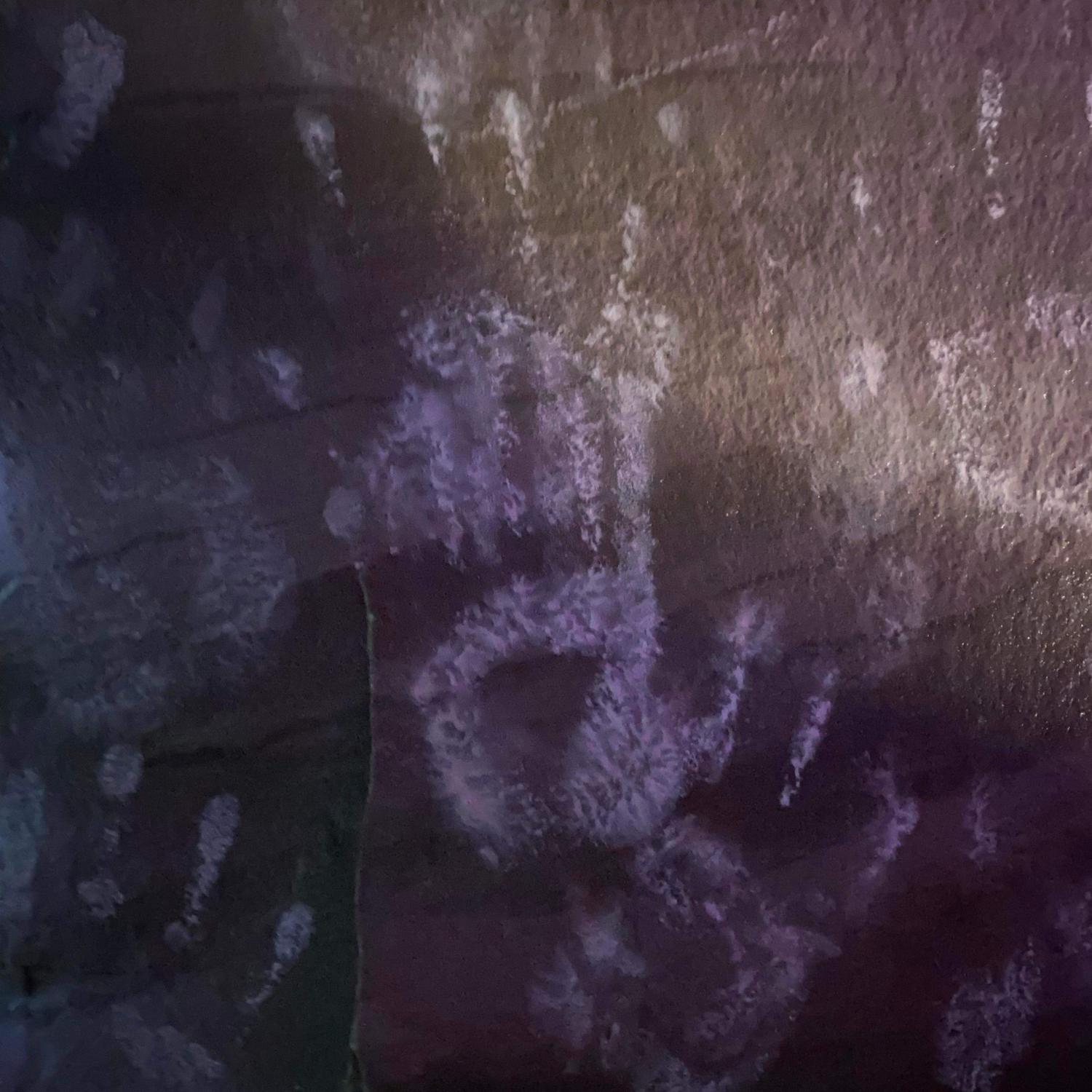 Our handprints in a cave in hocking hills
