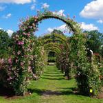 Elizabeth Park Conservancy