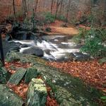 Prince William Forest Park