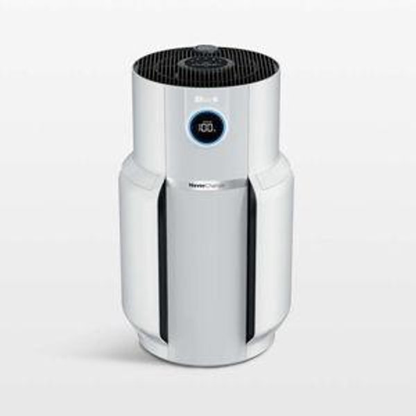 Shark NeverChange Air Purifier MAX + Reviews | Crate & Barrel