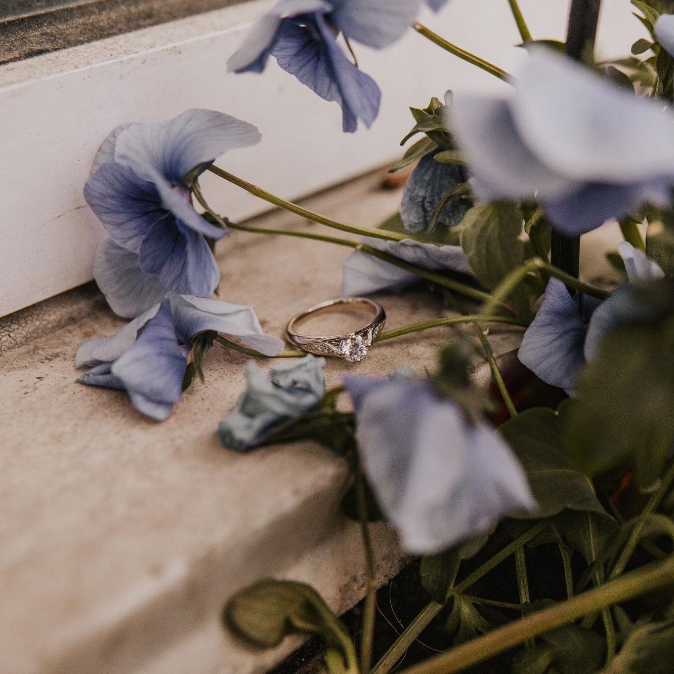 The Ring!