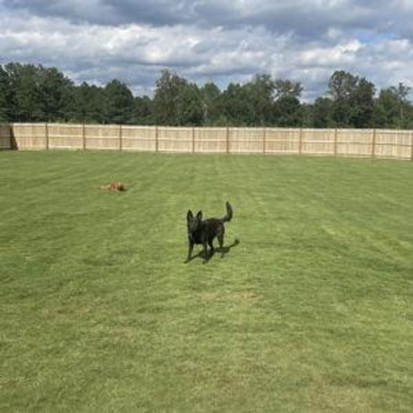 Our House (And Yard) Project Fund