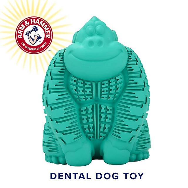 Arm & Hammer Super Treadz Gorilla and Gator Dental Chew Toys for Dogs | Dog Dental Toy for Strong Chewers | Baking Soda Infused Dog Toys Are Fun and Give an Effective Clean