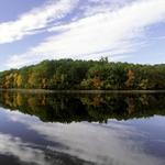 Local Reservations and State Forests
