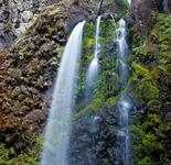 Fall Creek Falls Trailhead