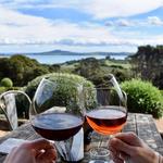 Waiheke Island