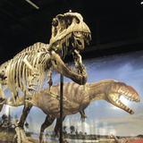Denver Museum of Nature & Science