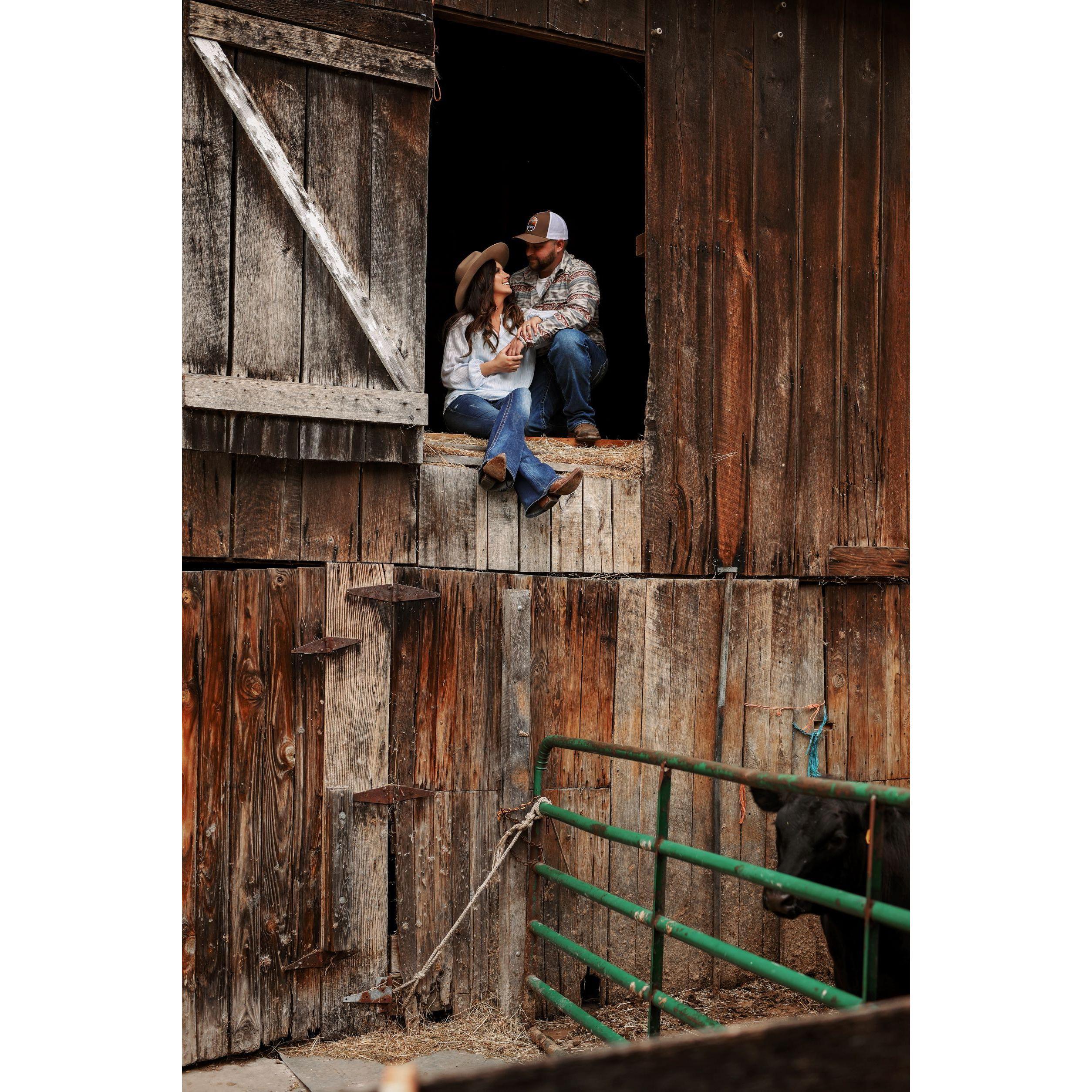 Engagement pictures!
