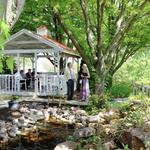 James Arthur Vineyards