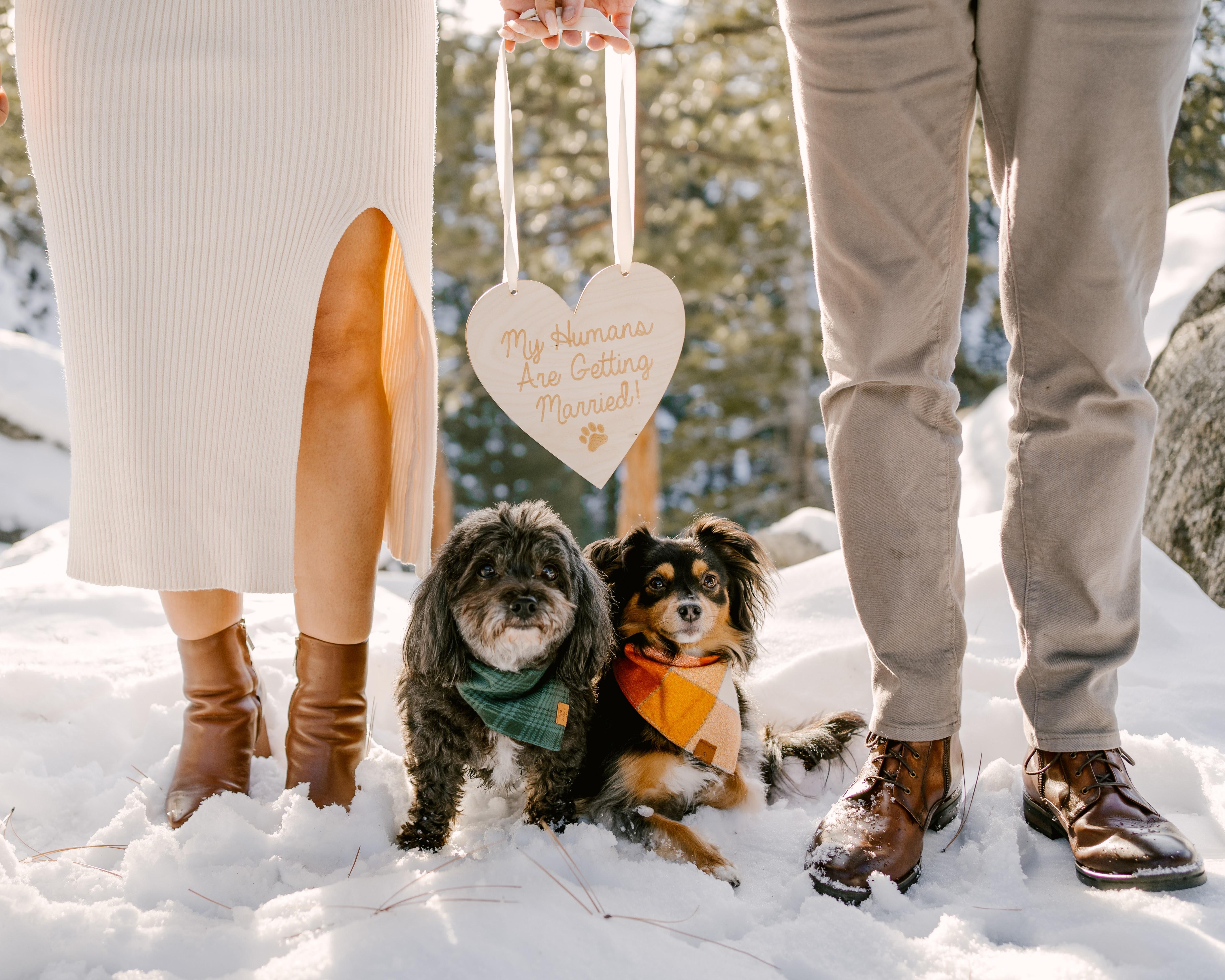 The Wedding Website of Christopher Burke and Melissa Melendez