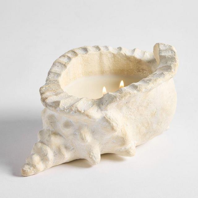 Coastal Artisan Studio Candle: Conch Shell (White Fig & Vetiver): Small 4.5In H