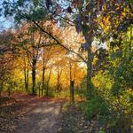 Three Rivers Park District