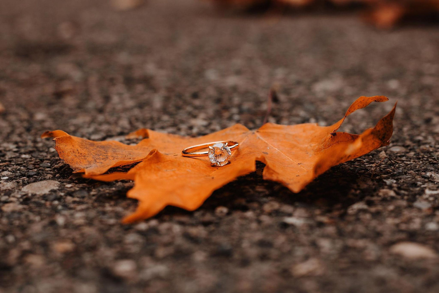The Wedding Website of Gabby Maddix and Brendan Burke
